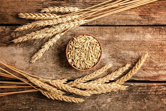 Malt